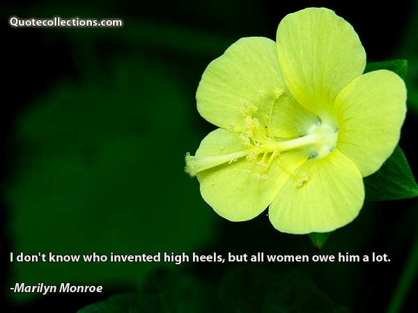 Marilyn Monroe Quotes4